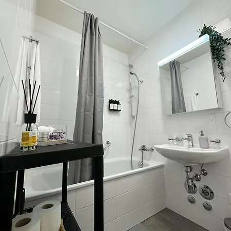 Modernite Et Confort A Apartment Geneva